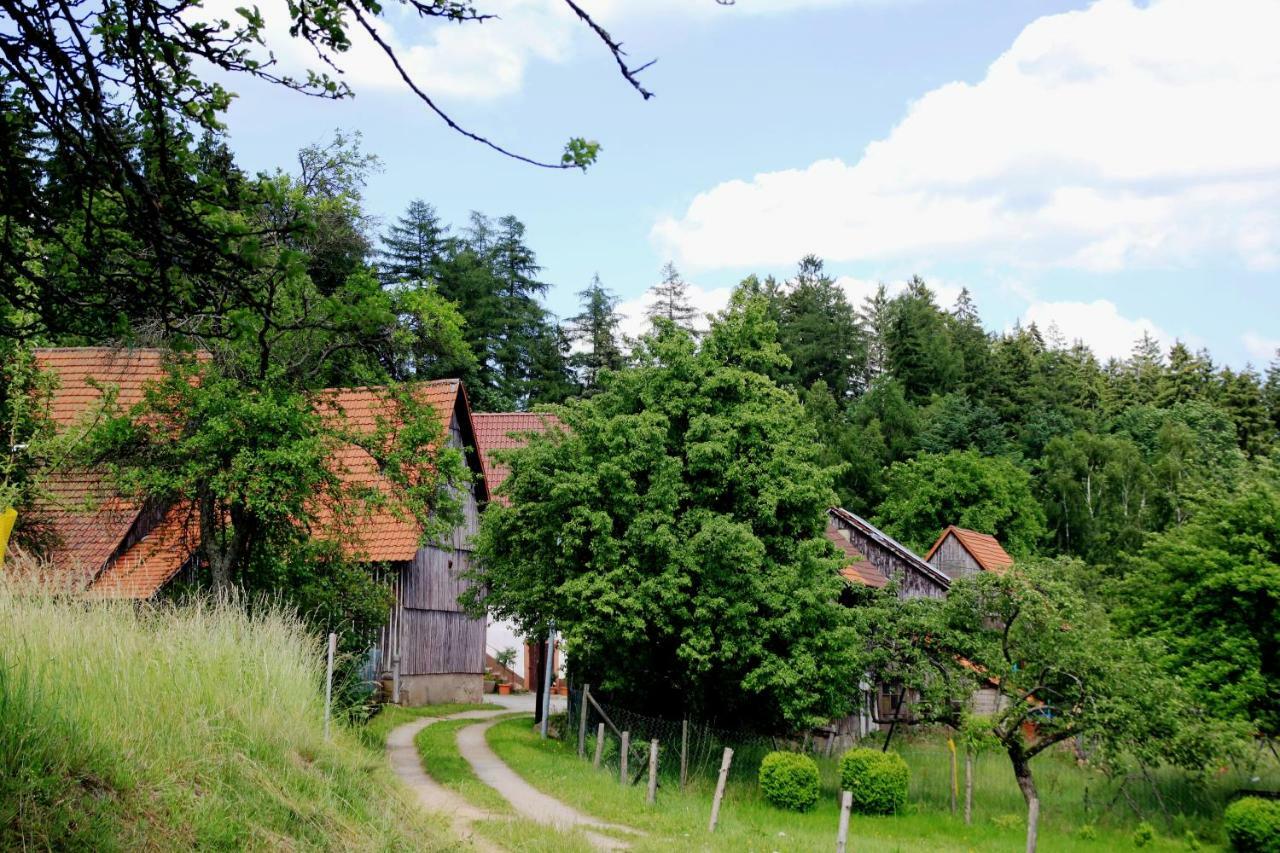 UrlaubsRaum Apartment Heiligkreuzsteinach Ngoại thất bức ảnh